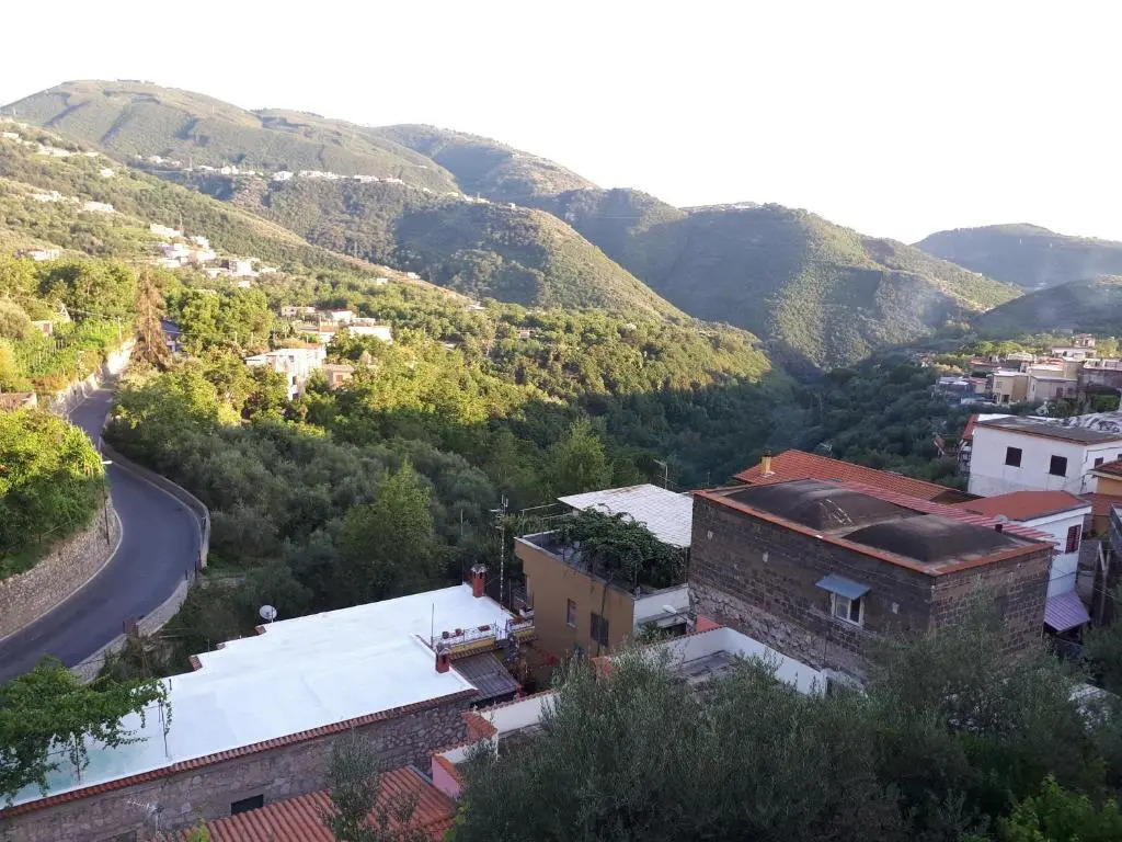 Hill Valley View