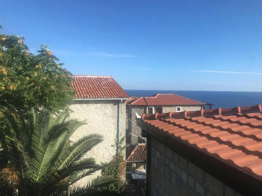 Studio Flat by the Sea in Montenegro