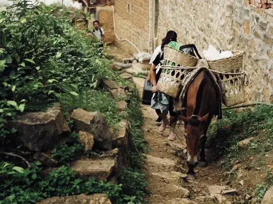 Tea Horse Road Stone Town