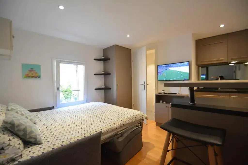 Studio Paquier Annecy hyper centre Vieille ville