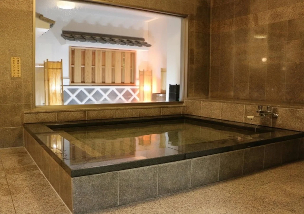 Hotel New Gaea Iizuka