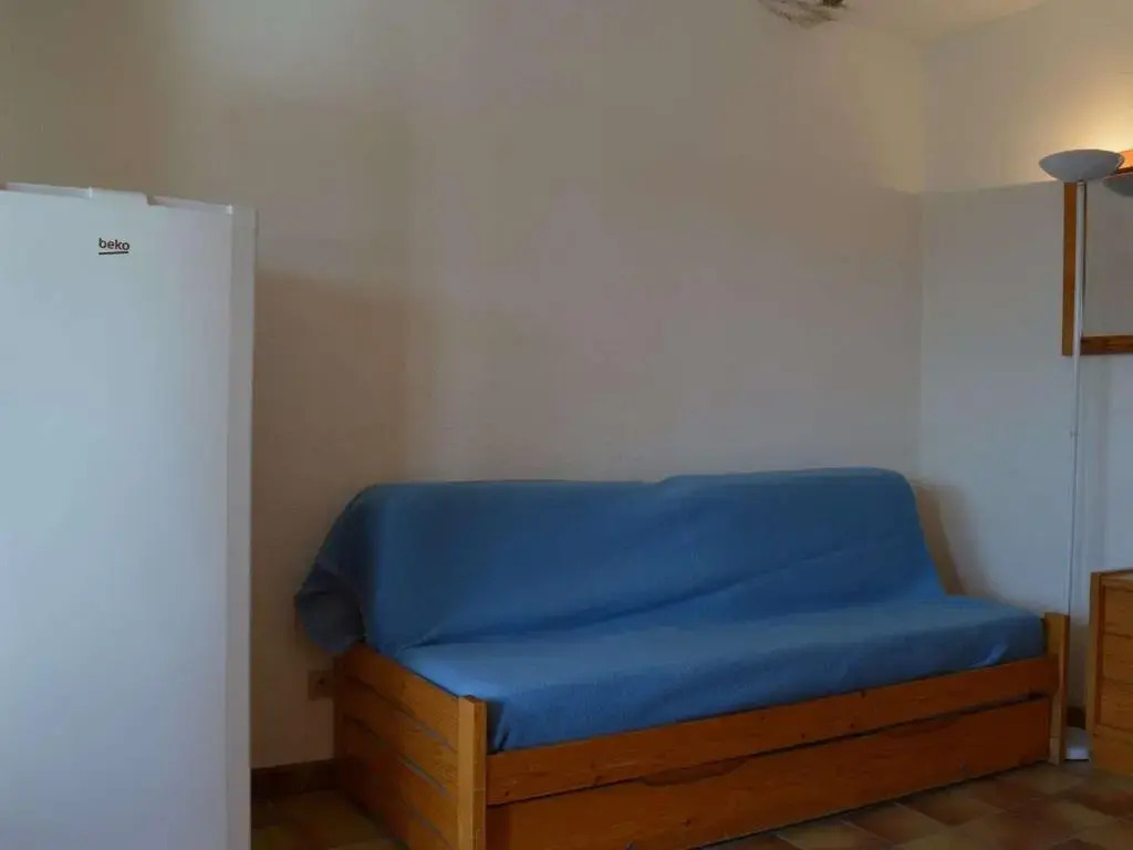 Appartement Saint-Cyprien, 2 pièces, 4 personnes - FR-1-225D-34