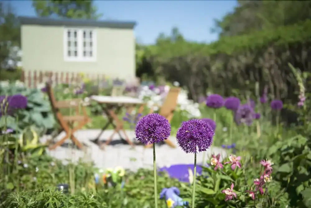The Mount self-catering