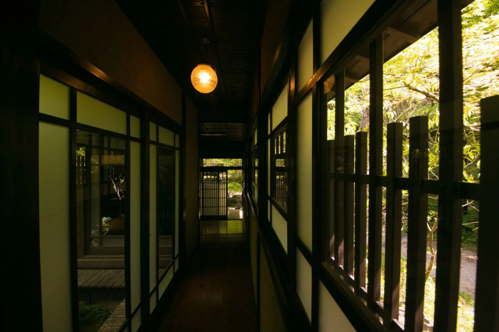 Nihon-no-Ashitaba