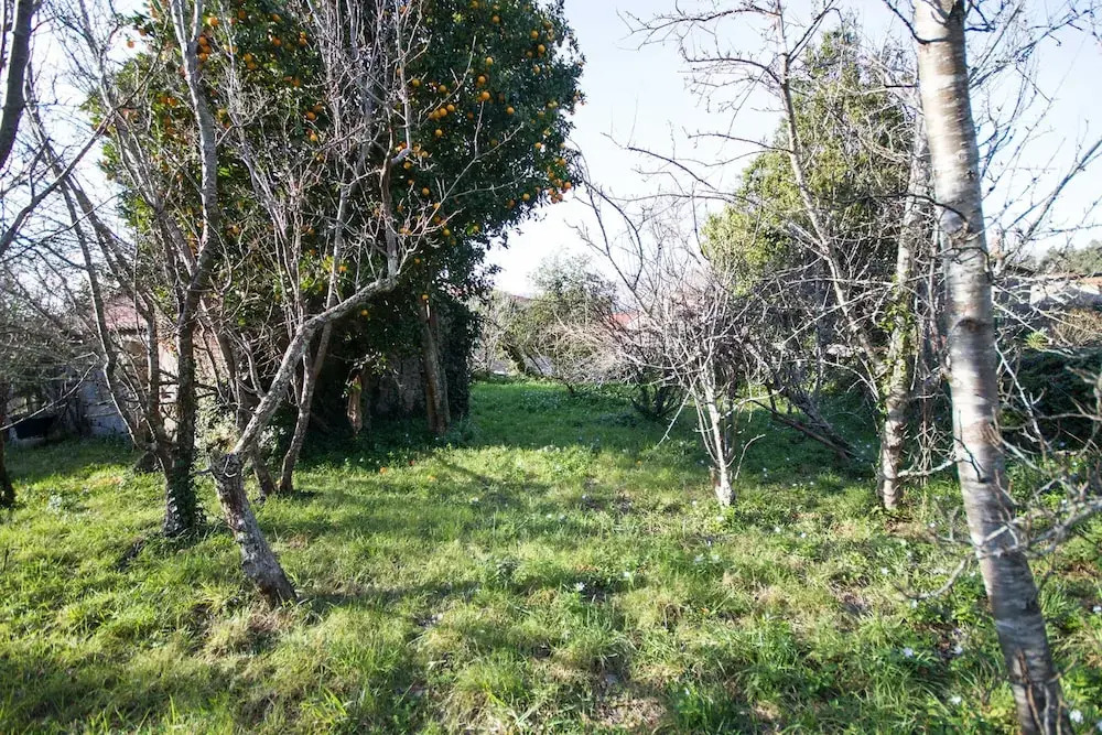 104226 -  House in Carnota