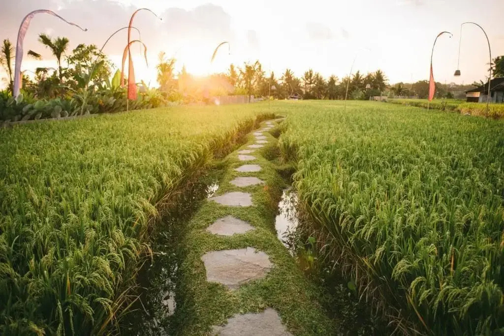 The Runik Ubud