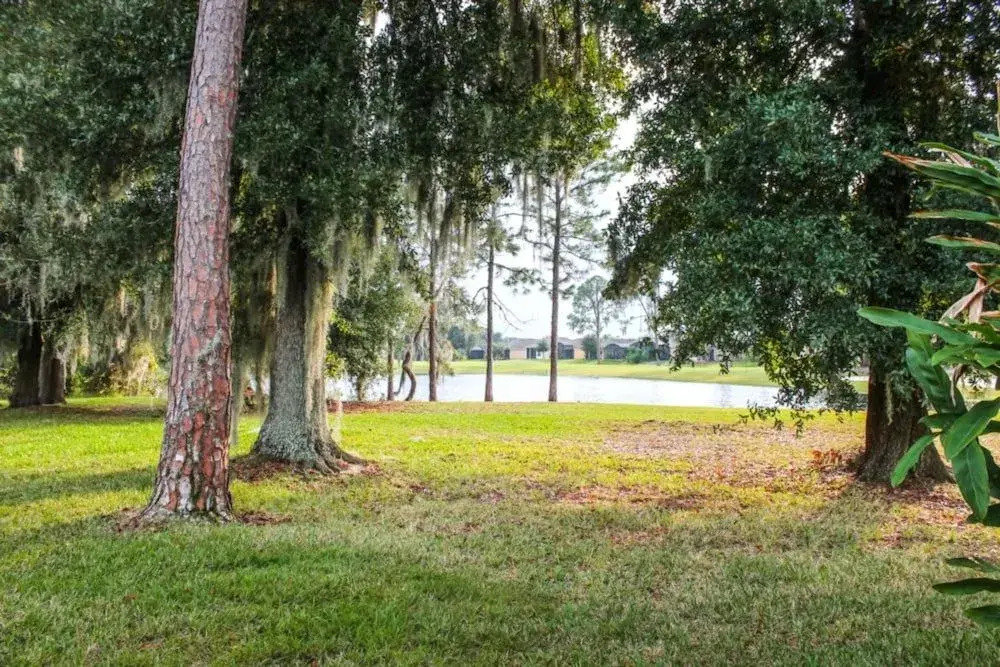 Falcon View at Ridgewood Lakes by Shine Villas