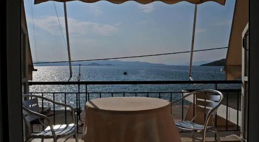 Delfini