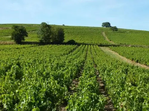 La Berdaquerie