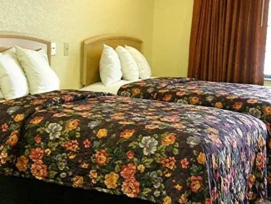 Matador Motel