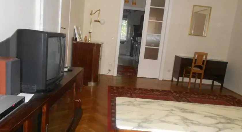 Big and Nice Flat in Budapest