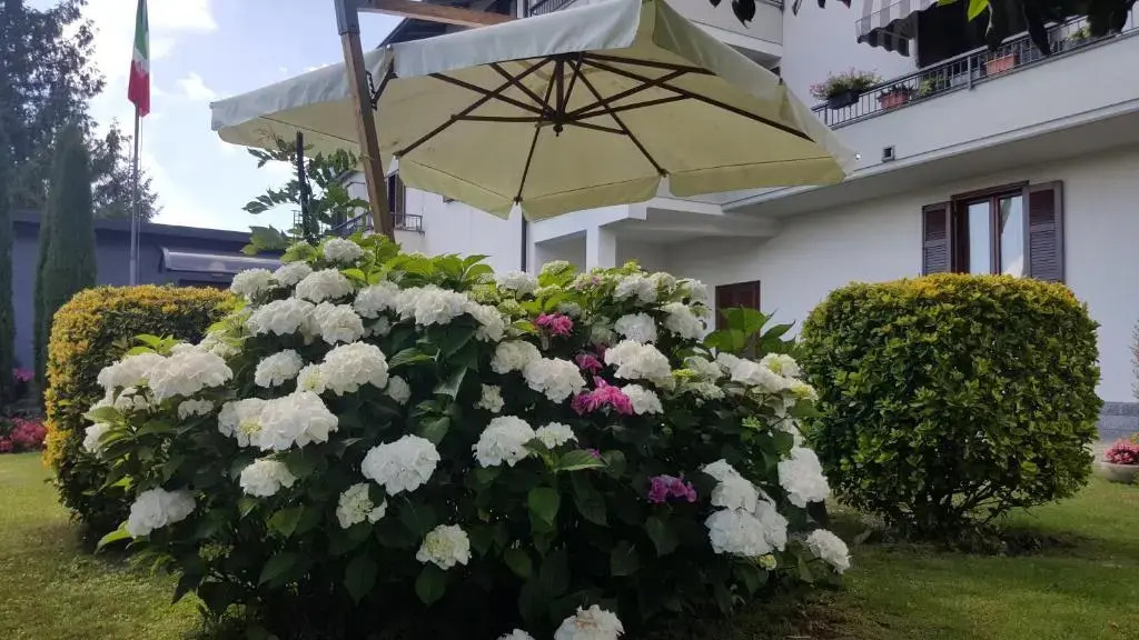 B&B Margè