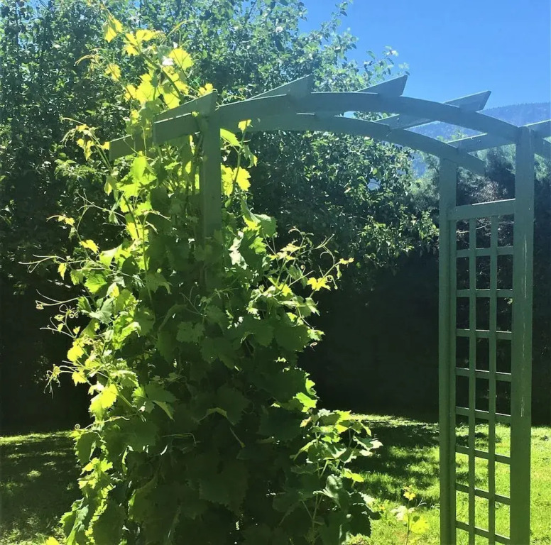 Bonnes Saisons