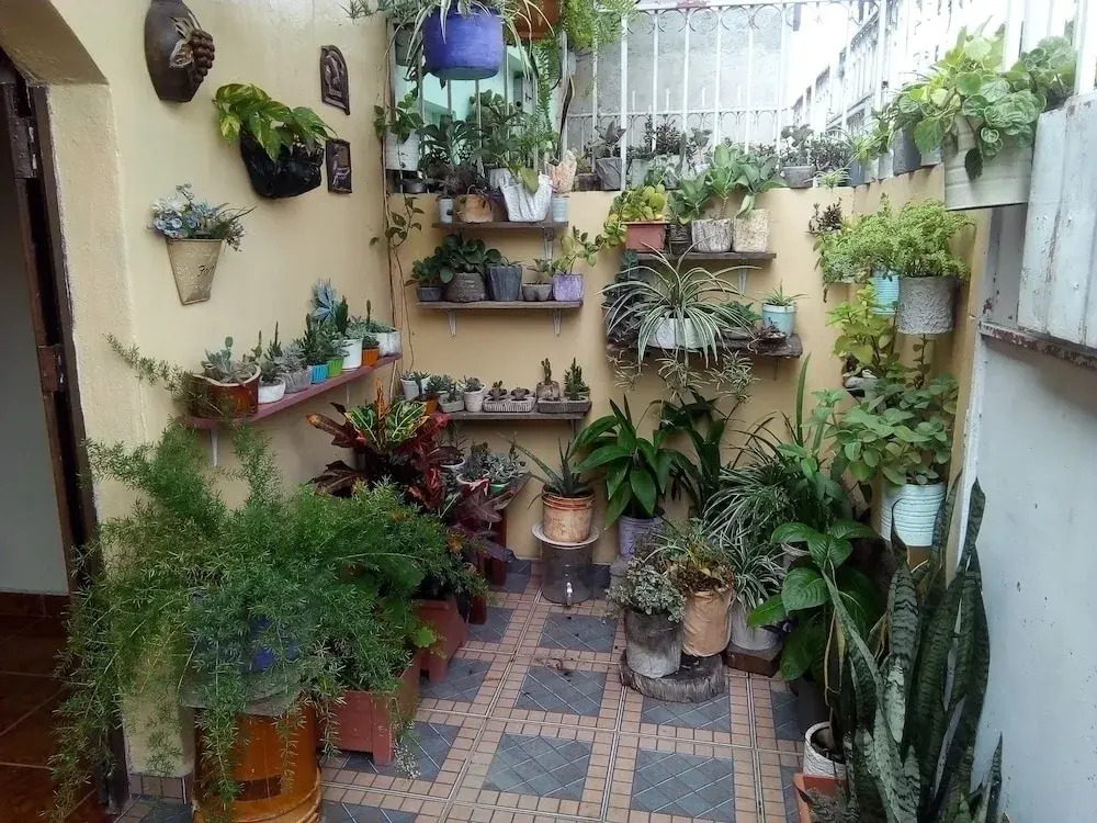 Patio De Joan