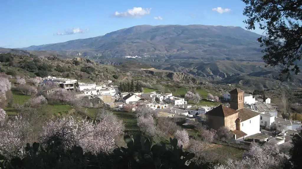 Alojamiento Rural Viña y Rosales