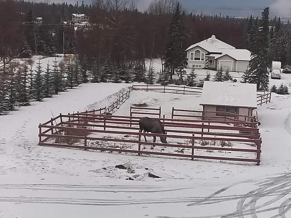 Alaska Sundance Retreat B&B