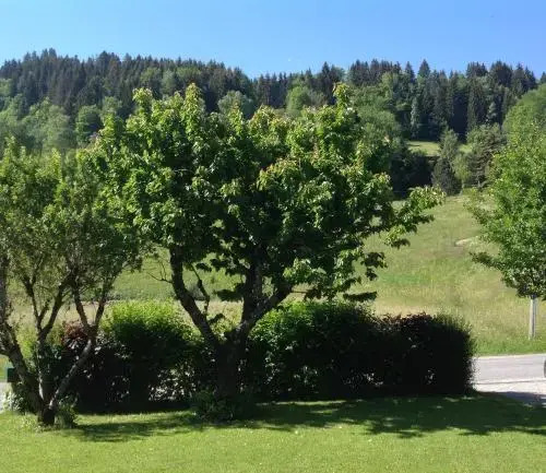 Appartement St Nicolas