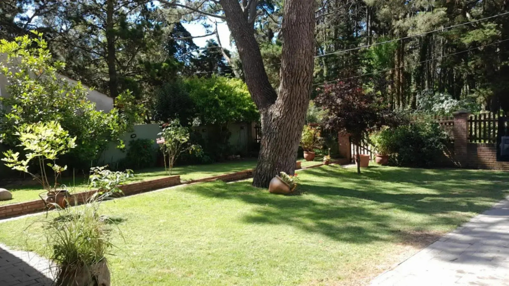 Chalet del bosque