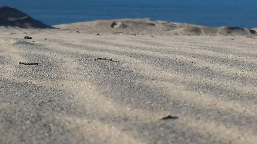 Joussac Côté Plage - Devant locéan