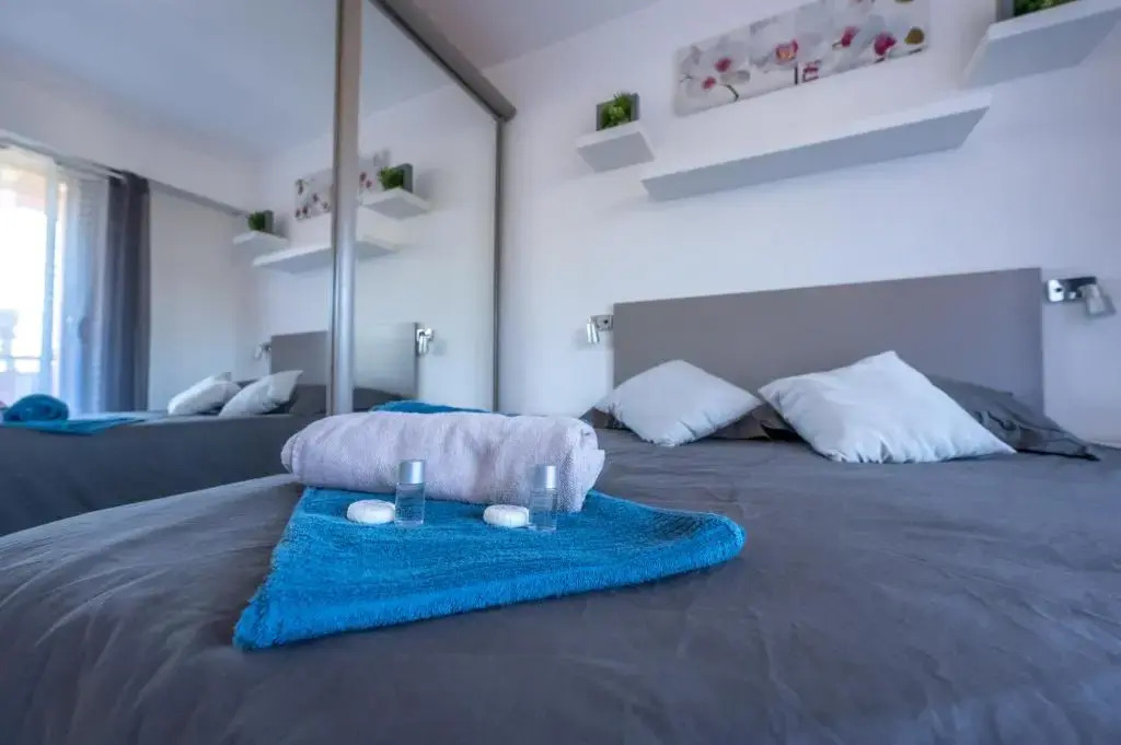 Holidays in cannes - appartement 2P - wifi - clim - parking