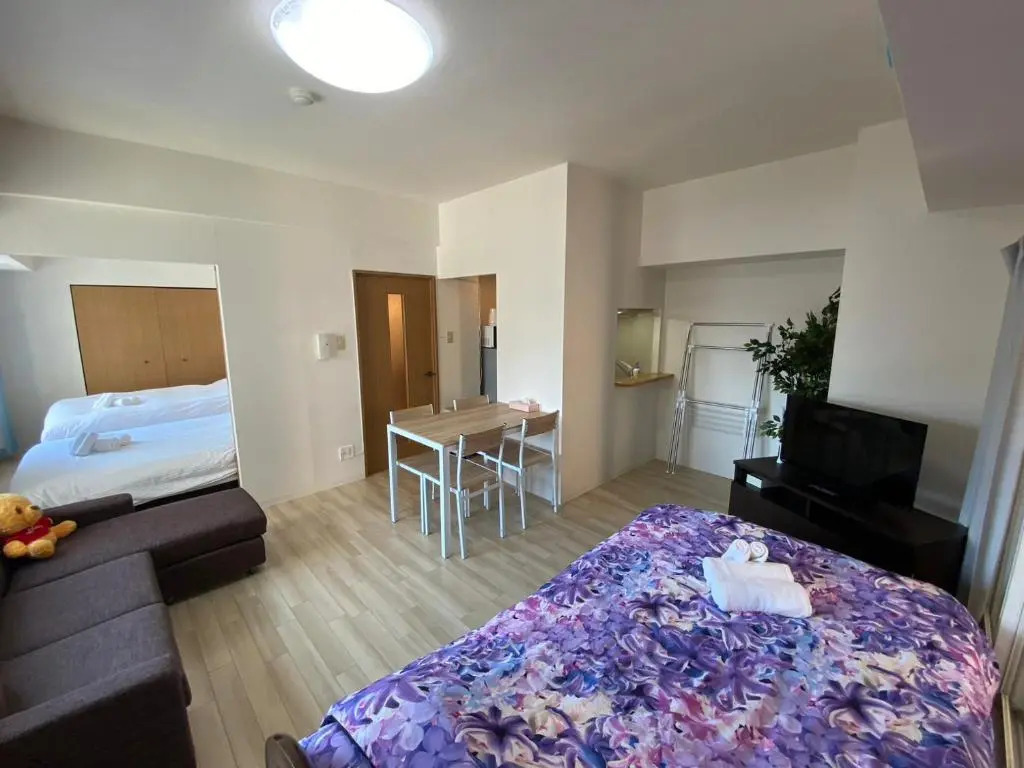 Downtown area Spacious cozy room Susukino IK601