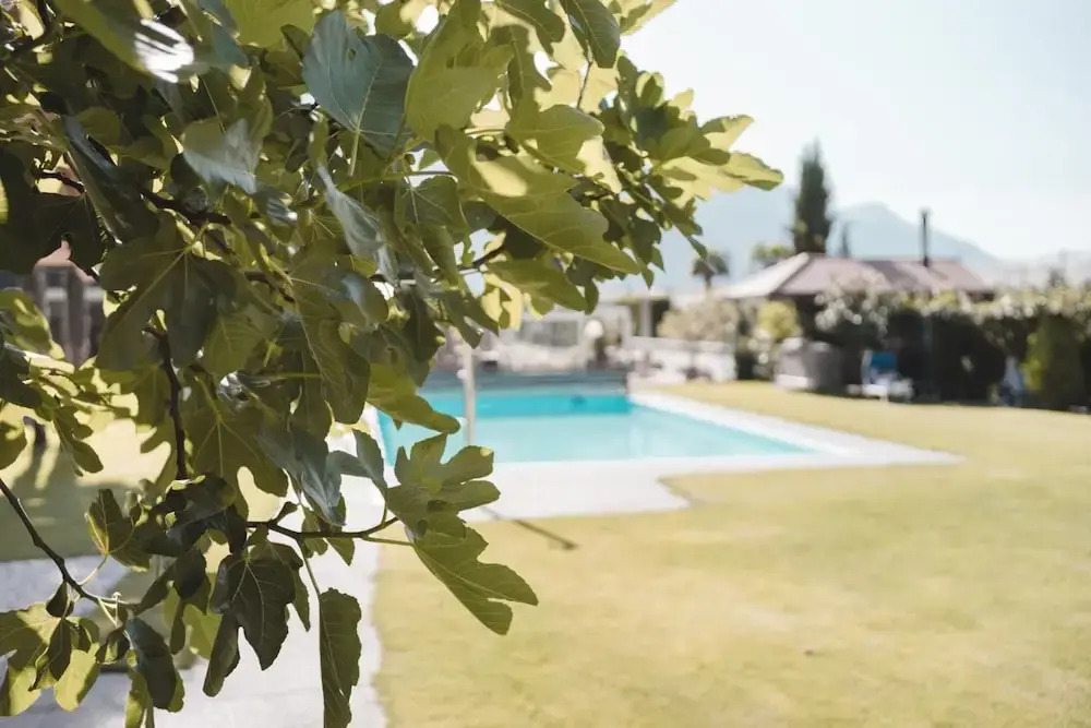Hotel Tiefenbrunn Gardensuites & Breakfast
