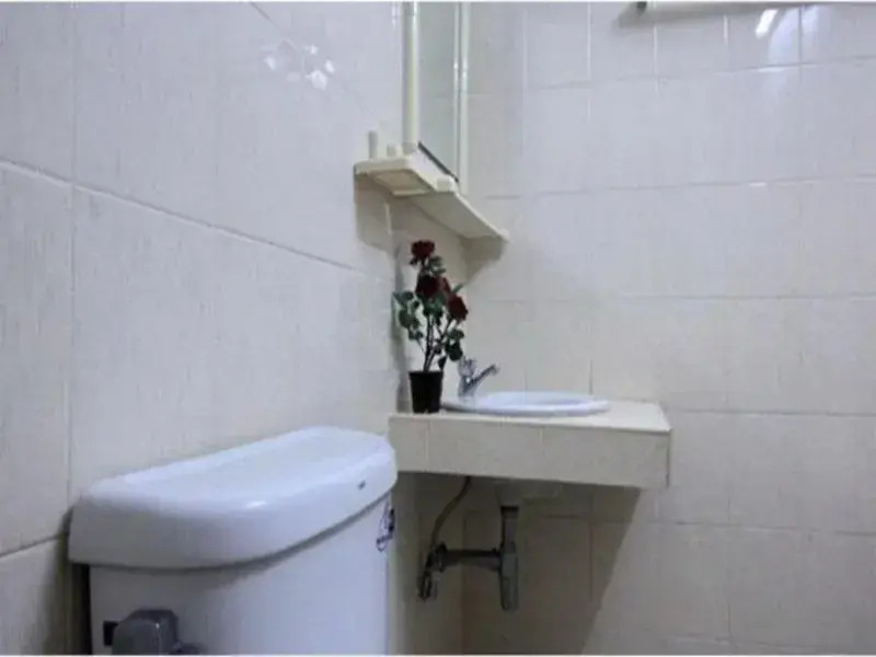 Palm House Apartment