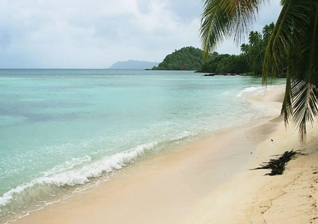 Tarzans Beach Resort