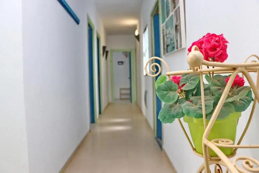 Habitación Cañaveral Playa Conil II