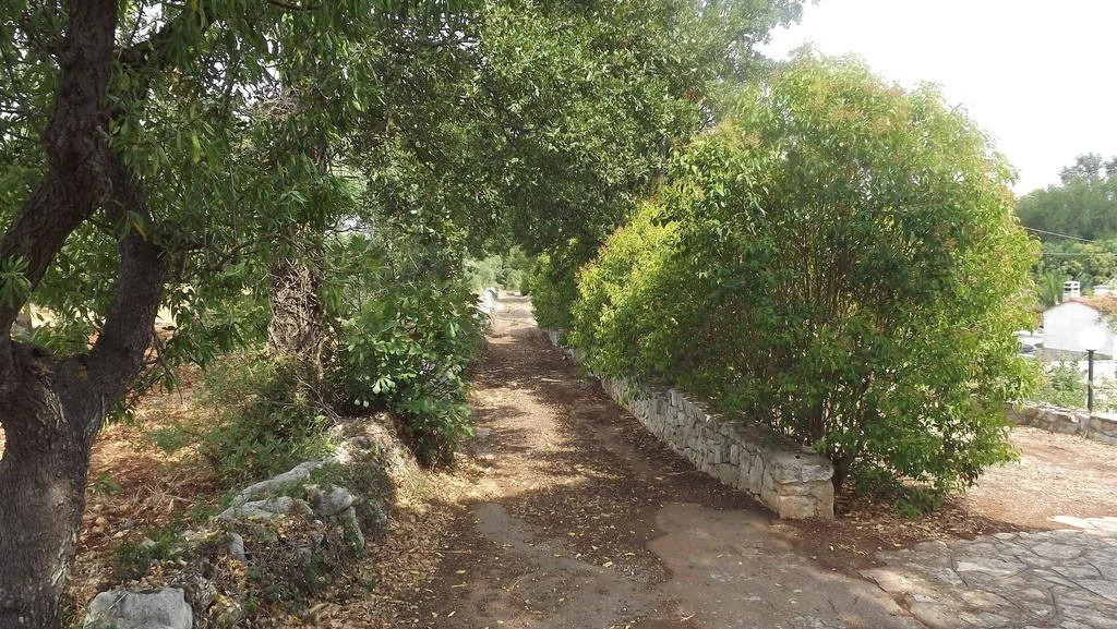 Villa Apollonia B&B