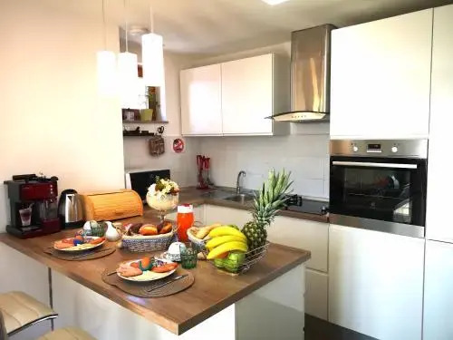 Apartment Goran