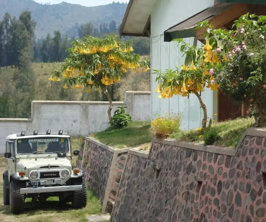 Ucik Tengger