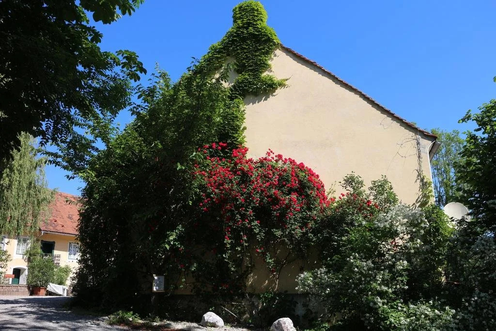 Schloss Gamlitz