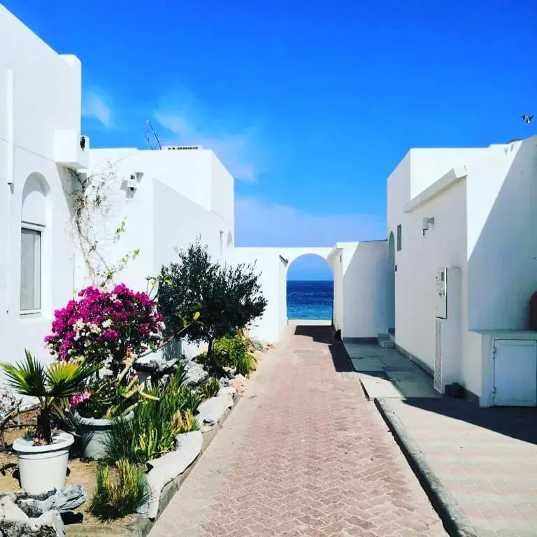 The Blue Gate 2