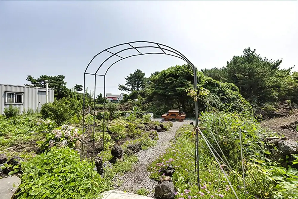 Seogwipo Seongsan Lie Pension