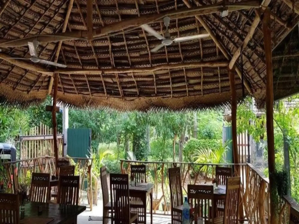 Turtle Paradise