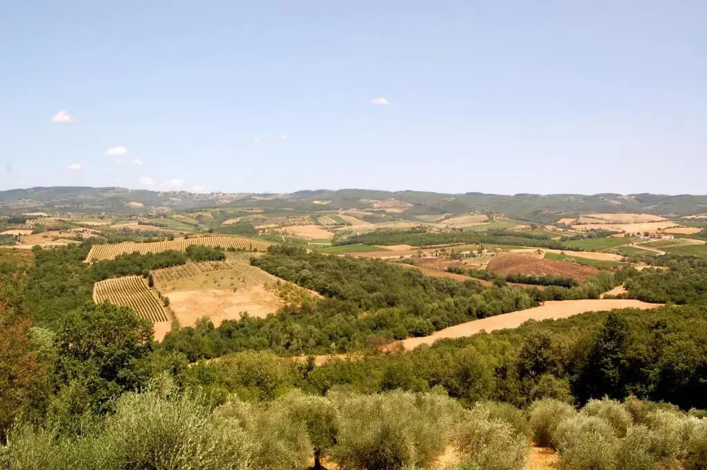 La Dolce Vita