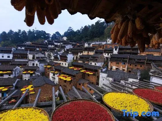 Wuyuan · Tranquil Time: Day Coffee & Night Wine Vacation Guesthouse