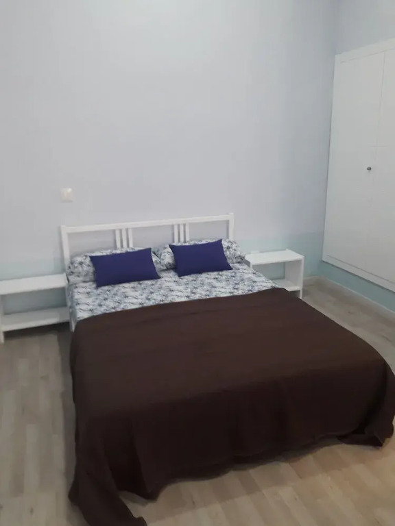 White Goose Apartment in Madrid