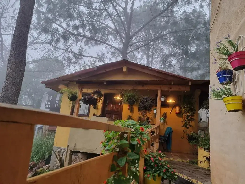 Villas De Los Pinos 2