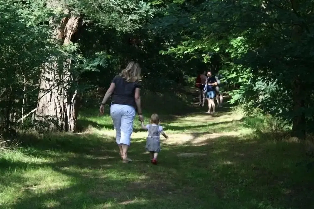 Ferienparadies Waldidylle