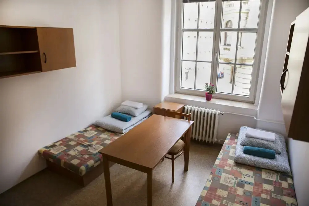 Dizzy Daisy Hostel