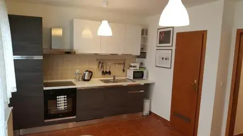 Apartment Roko