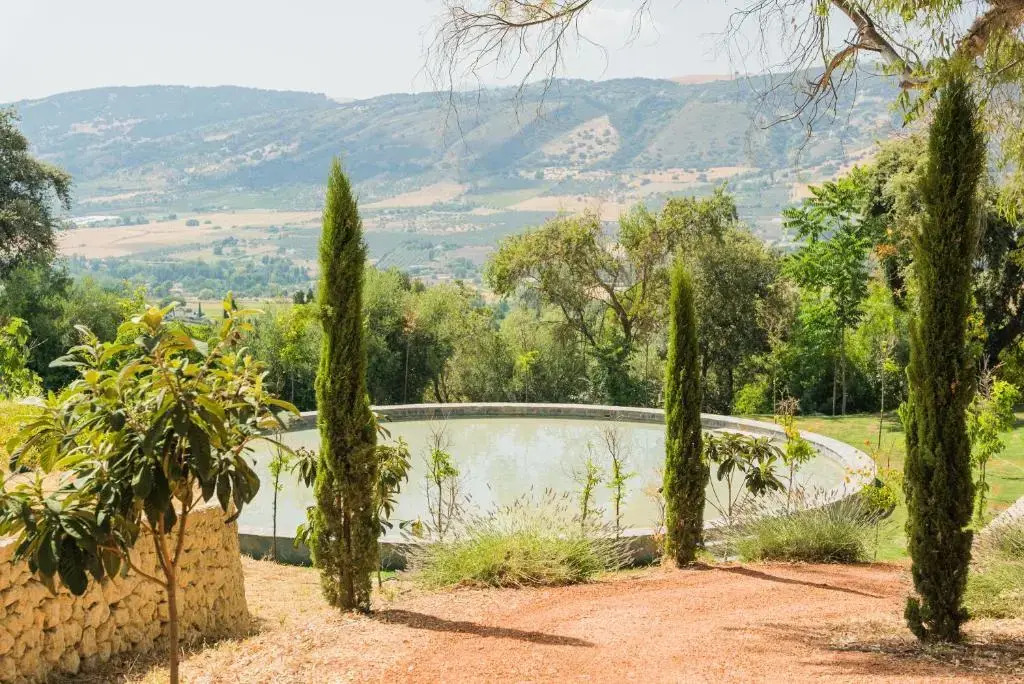 Cortijo LA Almazara