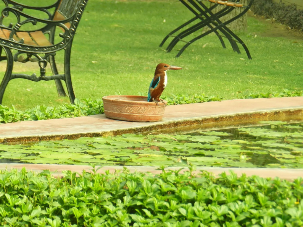 Hotel Jai Niwas
