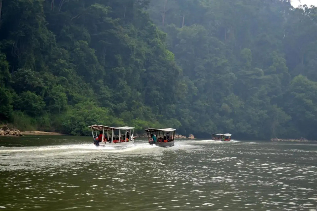 Mutiara Taman Negara