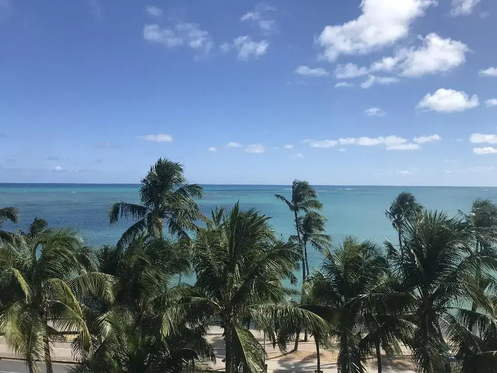 Hilton Garden Inn Maceio