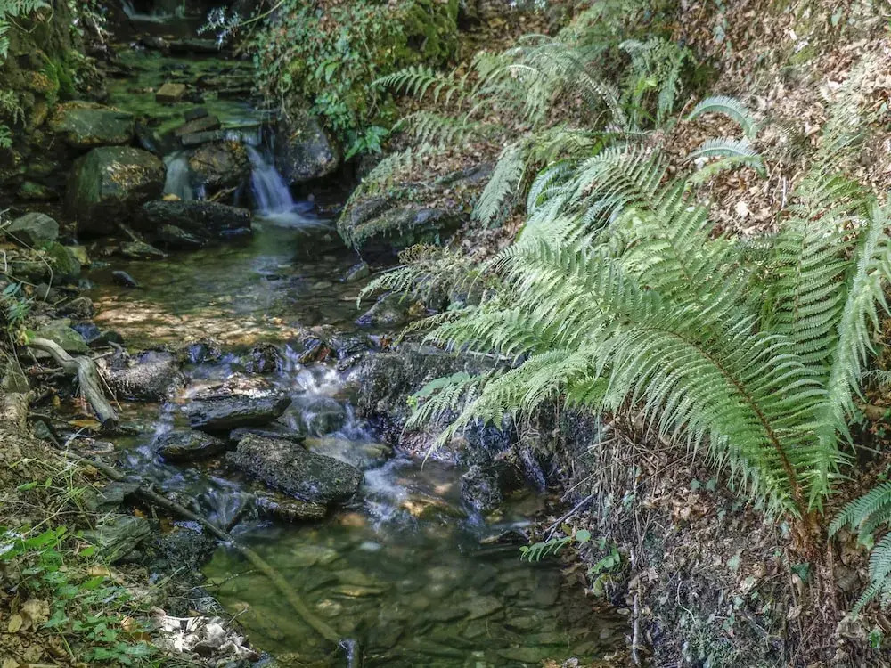 Running Waters