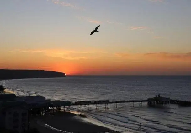 Sandown Seaside Apartment Ground Floor 4