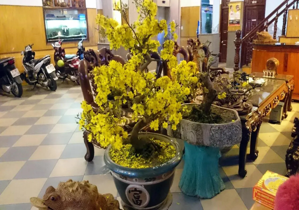 Cao Nguyen Hotel - Gia Lai